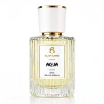 Aqua Men's Perfume | Fresh Marine Citrus | Perfume Spray for Men | Cool & Refreshing Scent | Gift for Him