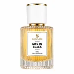 Men In Black Men's Perfume | Woody Spicy Leather | Perfume Spray for Men | Strong & Captivating Fragrance | Gift for Him